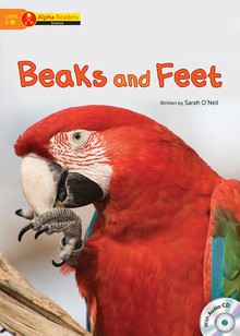 Beaks and Feet
