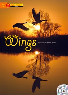 Wings