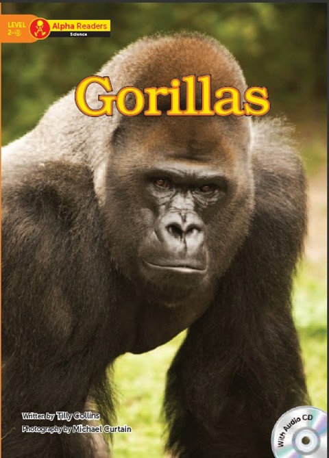 Gorillas 표지 이미지