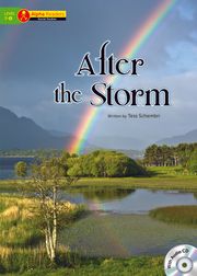 After the Storm
