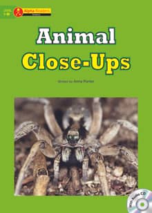 Animal Close-Ups