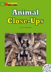 Animal Close-Ups