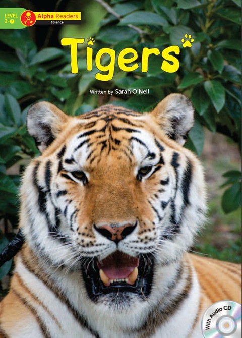 Tigers 표지 이미지