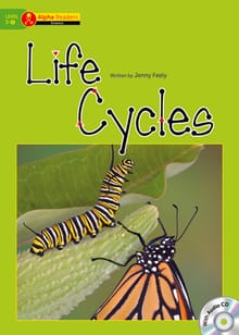 Life Cycles