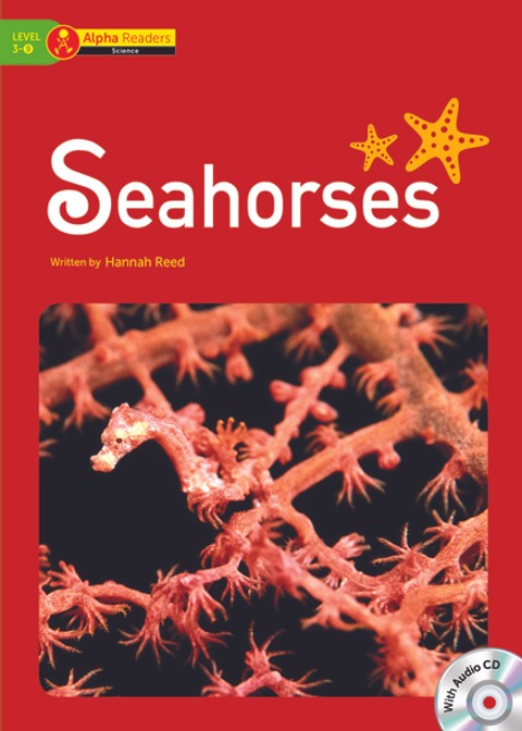 Seahorses 표지 이미지
