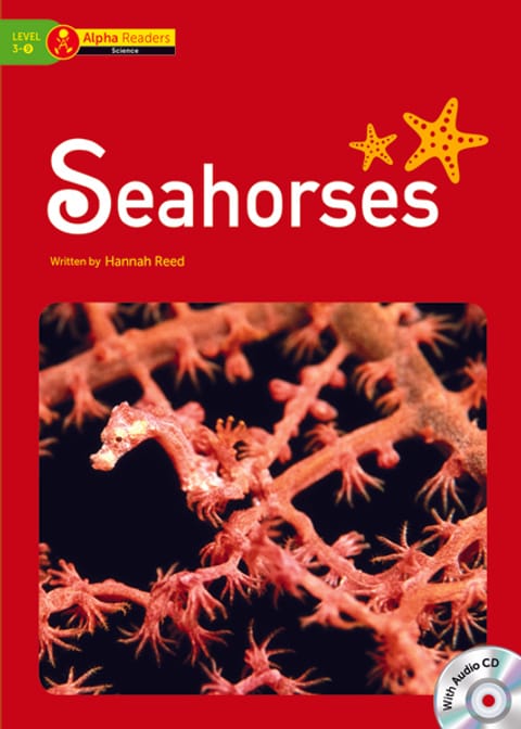 Seahorses 표지 이미지