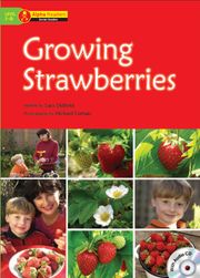 Growing Strawberries