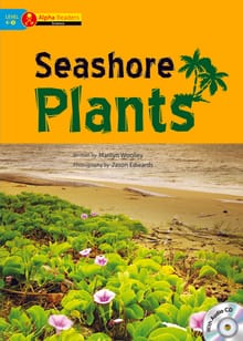 Seashore Plants