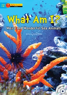 What Am I?
