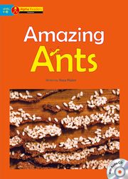 Amazing Ants