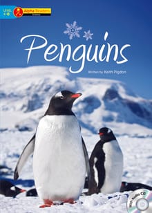 Penguins