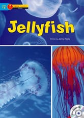Jellyfish 표지 이미지