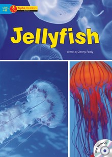 Jellyfish