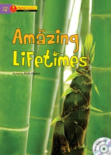 Amazing Lifetimes
