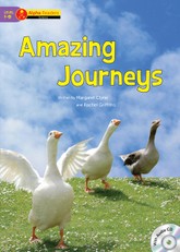 Amazing Journeys 표지 이미지