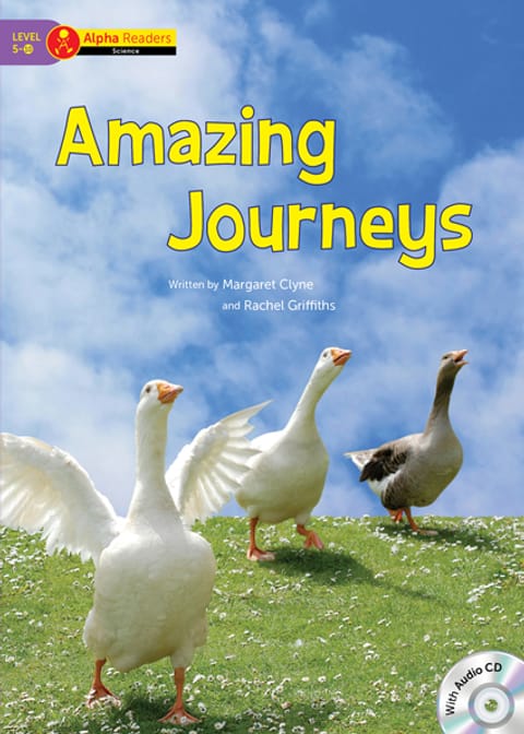 Amazing Journeys 표지 이미지