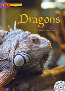 Dragons