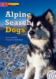 Alpine Search Dogs
