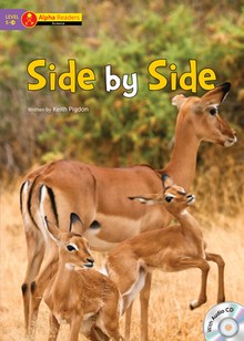 Side by Side