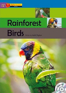 Rainforest Birds