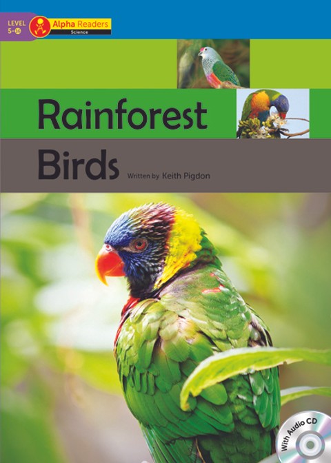 Rainforest Birds 표지 이미지
