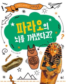 파라오의 뇌를 꺼냈다고?