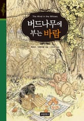 버드나무에 부는 바람 표지 이미지