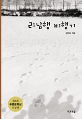 리남행 비행기 표지 이미지