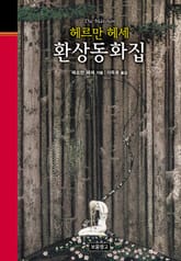 헤르만 헤세 환상동화집 표지 이미지
