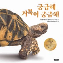 궁금해 거북이 궁금해