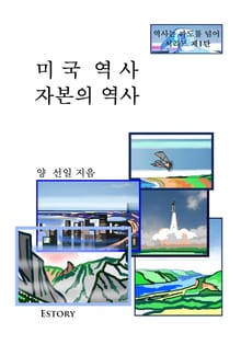 미국역사 자본의 역사