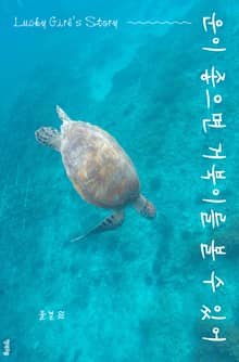 운이 좋으면 거북이를 볼 수 있어