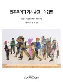 민주주의의 가시밭길 - 이집트