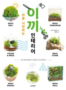 처음 시작하는 이끼 인테리어