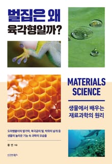 벌집은 왜 육각형일까?
