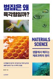 벌집은 왜 육각형일까?