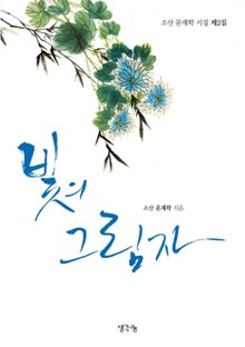 빛의 그림자