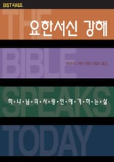 BST시리즈 요한서신 강해 표지 이미지