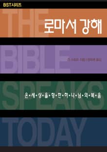 BST시리즈 로마서 강해