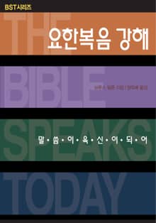 BST시리즈 요한복음 강해