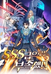 SSS급으로는 부족했다 표지 이미지