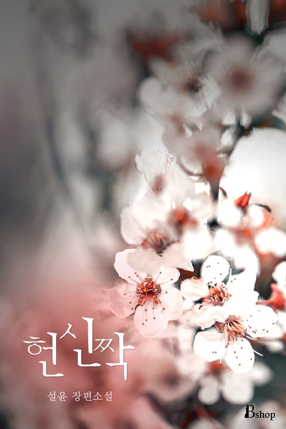 헌신짝 (외전)