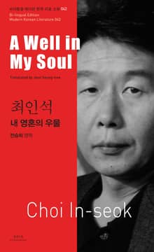 내 영혼의 우물