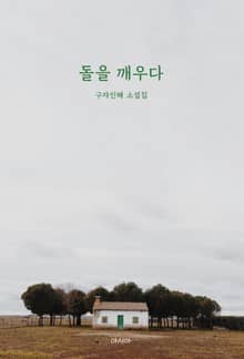 돌을 깨우다