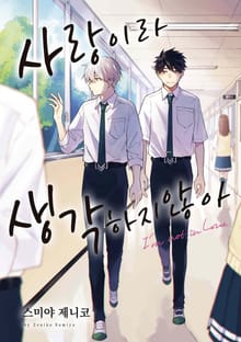 [블러] 사랑이라 생각하지 않아