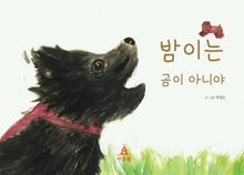 밤이는 곰이 아니야
