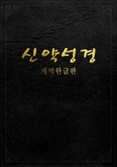 신약성경(개역한글판) 표지 이미지
