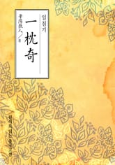 일침기(一枕奇) 표지 이미지