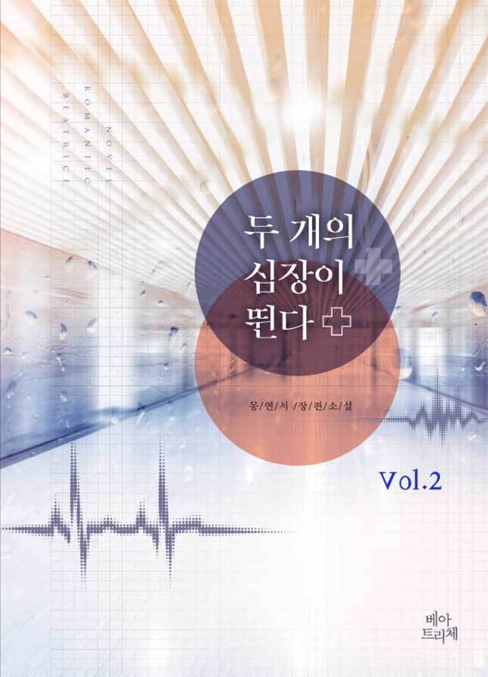 두 개의 심장이 뛴다 2권 (완결)