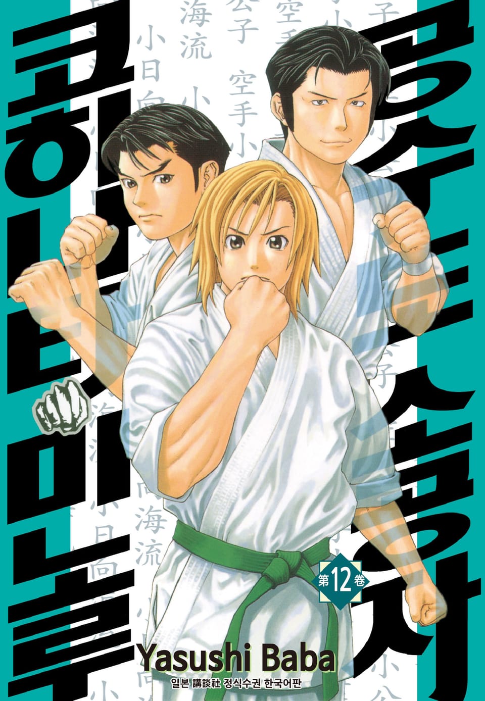 공수도 소공자 코히나타 미노루 12권